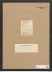 Diatomeae indet. Zeichnungen Sammlung Grunow Nr. 2837 (NHMW-BOT-W0370149)